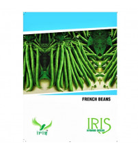 Iris OP French Beans 15 Seeds